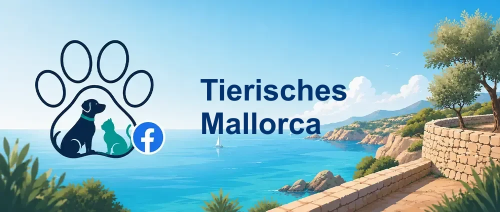 Coverbild der Facebook-Gruppe „Tierisches Mallorca“ — Öffentliche Gruppe · 12.469 Mitglieder — eine der größten deutschsprachigen Facebook-Gruppen zum Tierschutz auf Mallorca