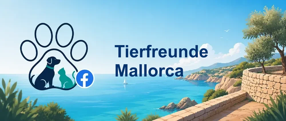 Coverbild der Facebook-Gruppe „Tierfreunde Mallorca“ — Öffentliche Gruppe · 1.056 Mitglieder — Tierschutz für Hunde und Katzen auf Mallorca.