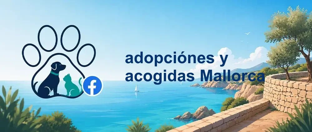 Coverbild der Facebook-Gruppe „adopciónes y acogidas Mallorca“ — Öffentliche Gruppe · 30.618 Mitglieder — Adoption und Pflegestellen für Hunde und Katzen auf Mallorca.