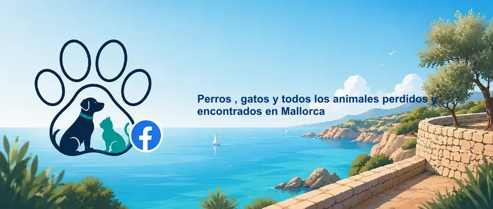 Coverbild der Facebook-Gruppe „Perros , gatos y todos los animales perdidos y encontrados en Mallorca“ — Öffentliche Gruppe · 10.929 Mitglieder — Vermisste und gefundene Tiere aller Art auf Mallorca.