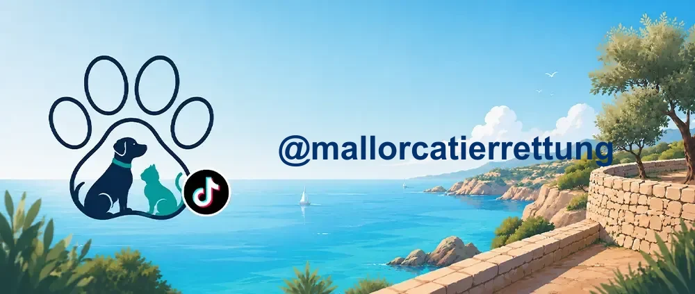 Coverbild der TikTok-Gruppe „@mallorcatierrettung“ — Hunde- und Tierrettung rund um Felanitx: Tierheimarbeit, Vermittlung und Schutz vor Tötungsstationen. Offizieller TikTok