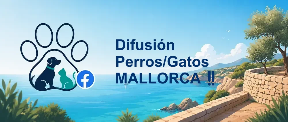 Coverbild der Facebook-Gruppe „Difusión Perros/Gatos MALLORCA‼️“ — Öffentliche Gruppe · 1.807 Mitglieder — Tierschutz und Vermittlung für Hunde und Katzen auf Mallorca.