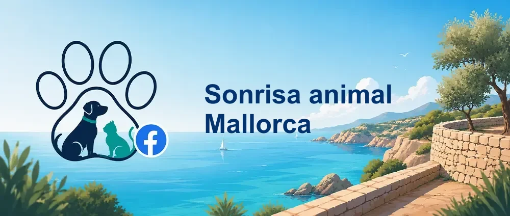 Coverbild der Facebook-Gruppe „Sonrisa animal Mallorca“ — Öffentliche Gruppe · 9.821 Mitglieder — Tierschutz auf Mallorca für alle Tiere in Not.