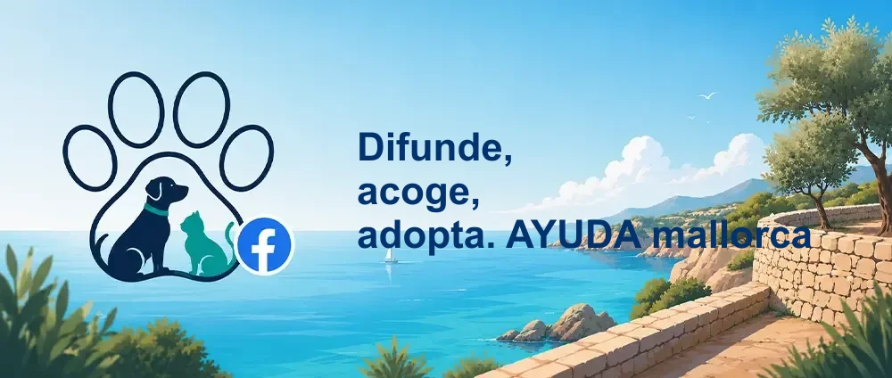 Coverbild der Facebook-Gruppe „Difunde, acoge , adopta. AYUDA mallorca“ — Öffentliche Gruppe · 8.663 Mitglieder — Tierschutz für Hunde: Vermittlung, Pflegestellen und Hilfe auf Mallorca.