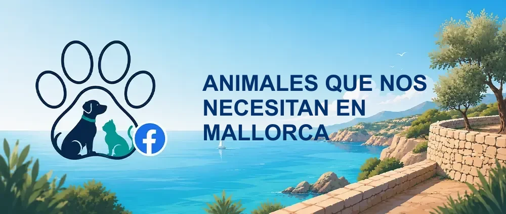 Coverbild der Facebook-Gruppe „ANIMALES QUE NOS NECESITAN EN MALLORCA“ — Öffentliche Gruppe · 4.551 Mitglieder — Katzen-Tierschutz und Hilfe für Tiere in Not auf Mallorca.