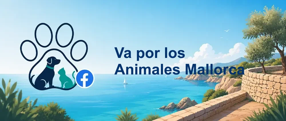 Coverbild der Facebook-Gruppe „Va por los Animales Mallorca“ — Öffentliche Gruppe · 871 Mitglieder — Tierschutz für Hunde und Katzen auf Mallorca.