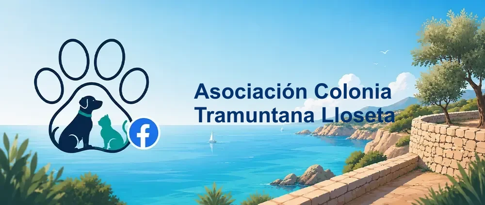 Coverbild der Facebook-Gruppe „Asociación Colonia Tramuntana Lloseta“ — Öffentliche Gruppe · 4.637 Mitglieder — Katzen-Tierschutz auf Mallorca, Schwerpunkt Lloseta und Umgebung.