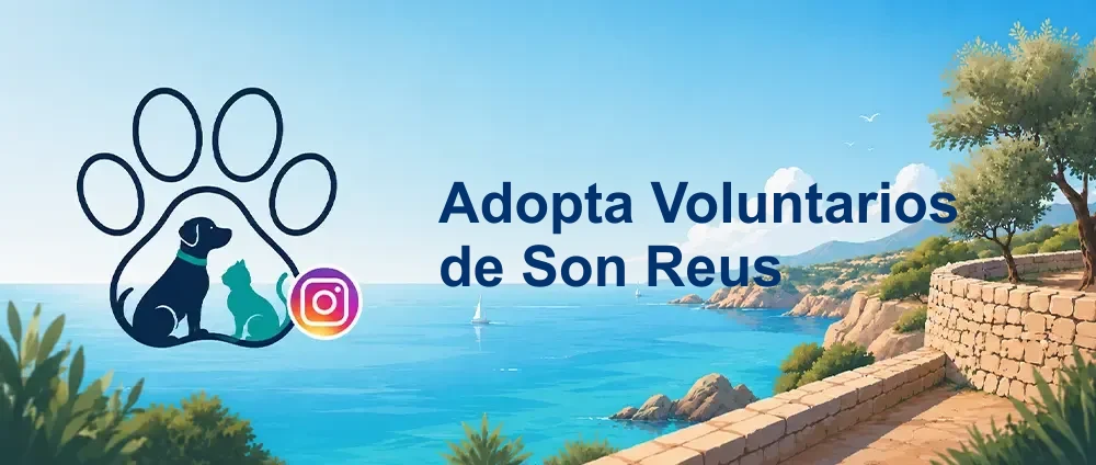 Coverbild der Instagram-Gruppe „Adopta Voluntarios de Son Reus“ — Zusätzliche Vermittlungsfälle und ehrenamtliche Reichweite rund um Son Reus.