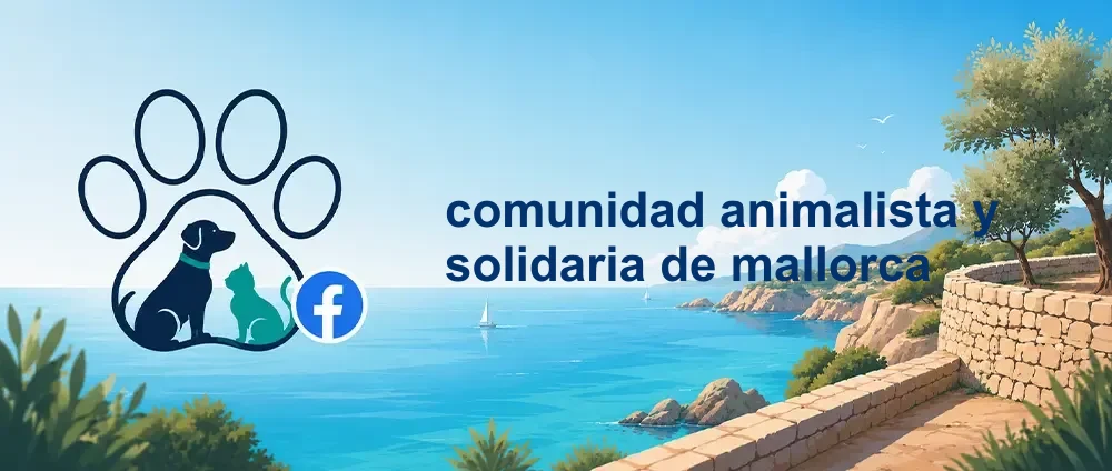 Coverbild der Facebook-Gruppe „comunidad animalista y solidaria de mallorca“ — Öffentliche Gruppe · 1.504 Mitglieder — Solidarische Tierschutz-Community für Hunde und Katzen auf Mallorca.