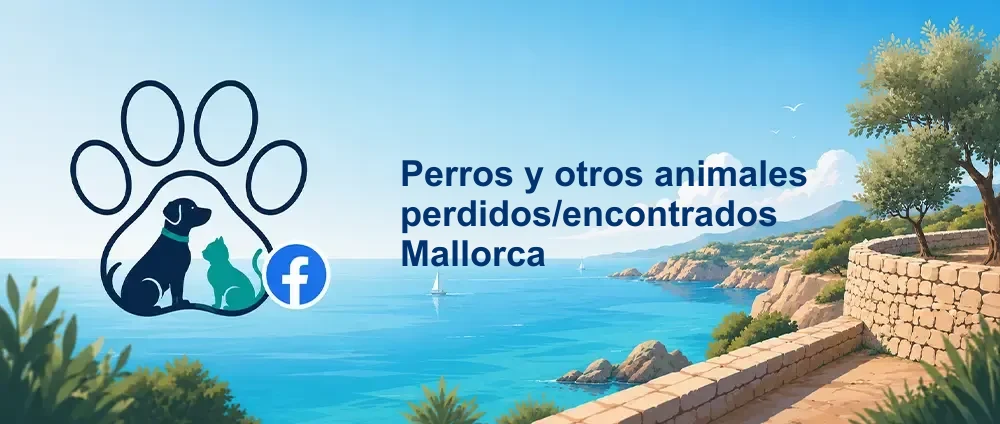 Coverbild der Facebook-Gruppe „Perros y otros animales perdidos/encontrados Mallorca“ — Öffentliche Gruppe · 27.253 Mitglieder — Vermisste und gefundene Tiere auf Mallorca melden und koordinieren.