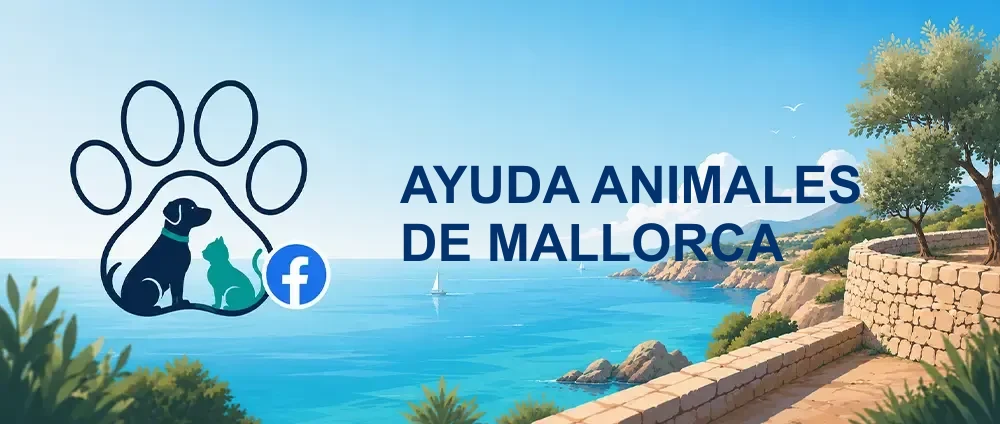 Coverbild der Facebook-Gruppe „AYUDA ANIMALES DE MALLORCA“ — Öffentliche Gruppe · 9.472 Mitglieder — Hilfe und Koordination für Tiere in Not auf Mallorca.