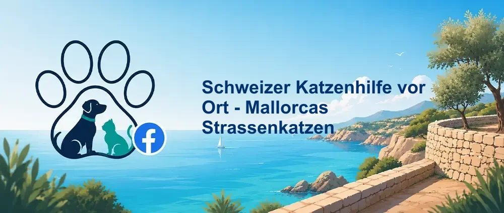 Coverbild der Facebook-Gruppe „Schweizer Katzenhilfe vor Ort - Mallorcas Strassenkatzen“ — Private Gruppe · 2.028 Mitglieder — Deutschsprachige Katzenhilfe für Mallorcas Straßenkatzen.