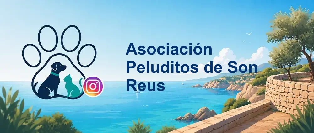 Coverbild der Instagram-Gruppe „Asociación Peluditos de Son Reus“ — Einer der wichtigsten lokalen Accounts rund um Son Reus in Palma. Sehr hohe Aktivität, viele Vermittlungsfälle, Veransta