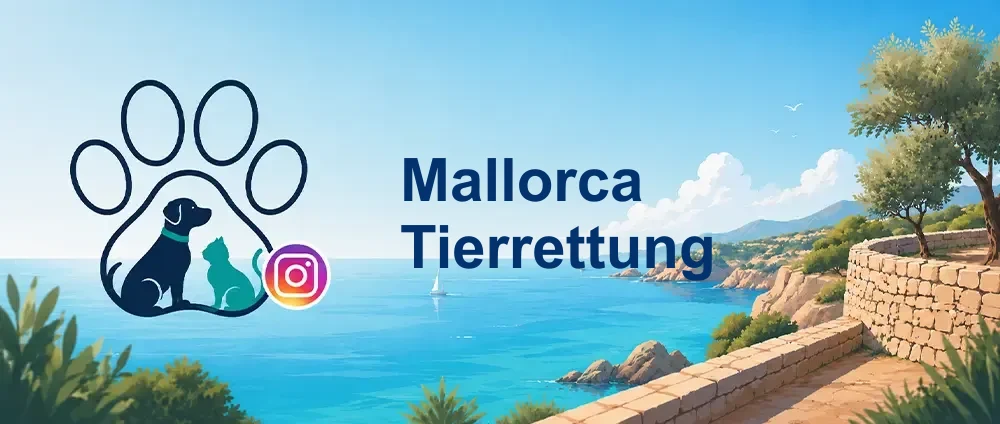 Coverbild der Instagram-Gruppe „Mallorca Tierrettung“ — Besonders für die deutschsprachige Zielgruppe: Adoptionen, Pflegestellen und Vermittlung von Hunden. Aktive Brücke zu Un