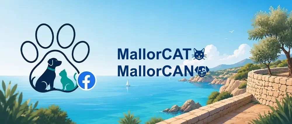 Coverbild der Facebook-Gruppe „MallorCAT🐱 MallorCAN🐶“ — Öffentliche Gruppe · 1.971 Mitglieder — Tierschutz für Hunde und Katzen auf Mallorca.