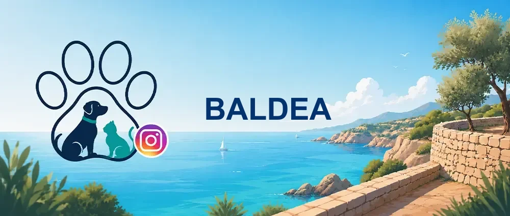 Coverbild der Instagram-Gruppe „BALDEA“ — Dachverband für Tierschutz auf den Balearen — relevant für Aufklärung, Kastrationsprojekte, Kampagnen gegen Aussetzung u