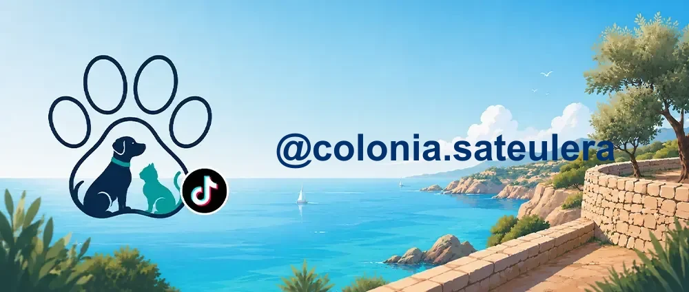 Coverbild der TikTok-Gruppe „@colonia.sateulera“ — Lokale Katzenkolonie in Sa Teulera, Palma: Fütterung, Kastration und tierärztliche Versorgung von Straßenkatzen.