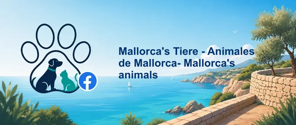 Coverbild der Facebook-Gruppe „Mallorca's Tiere - Animales de Mallorca- Mallorca's animals“ — Private Gruppe · 977 Mitglieder — Mehrsprachiger Tierschutz-Austausch auf Mallorca für alle Tierarten.
