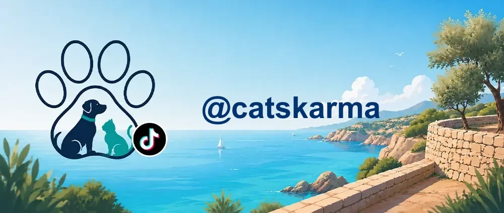 Coverbild der TikTok-Gruppe „@catskarma“ — Straßenkatzen, Rettung, medizinische Versorgung, Kastration und Vermittlung auf Mallorca.