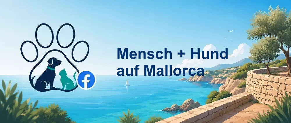 Coverbild der Facebook-Gruppe „Mensch + Hund auf Mallorca“ — Öffentliche Gruppe · 1.390 Mitglieder — Netzwerk für Hundebesitzer: Tipps und Ideen für schöne Tage mit unseren Liebsten