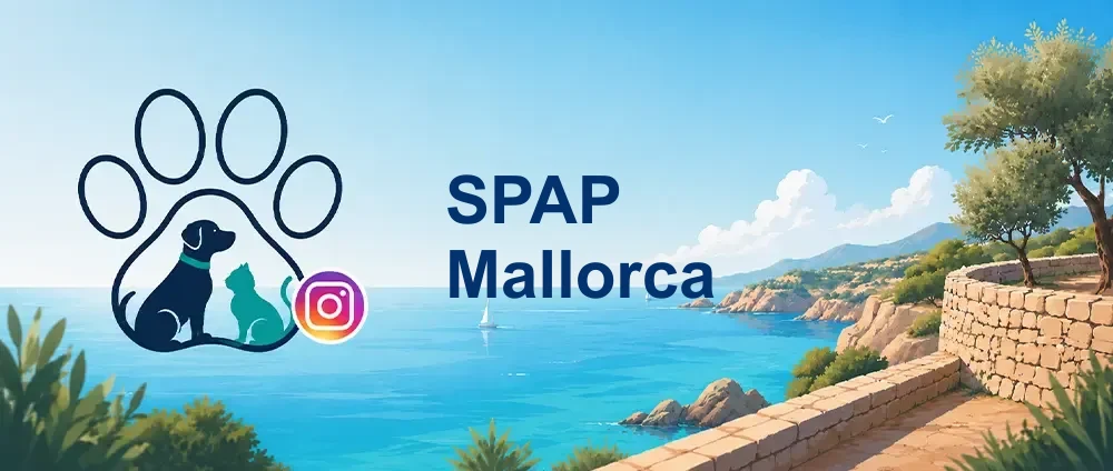 Coverbild der Instagram-Gruppe „SPAP Mallorca“ — Die Sociedad Protectora de Animales y Plantas de Mallorca — etablierter lokaler Akteur mit Fokus auf Schutz, Vermittlung
