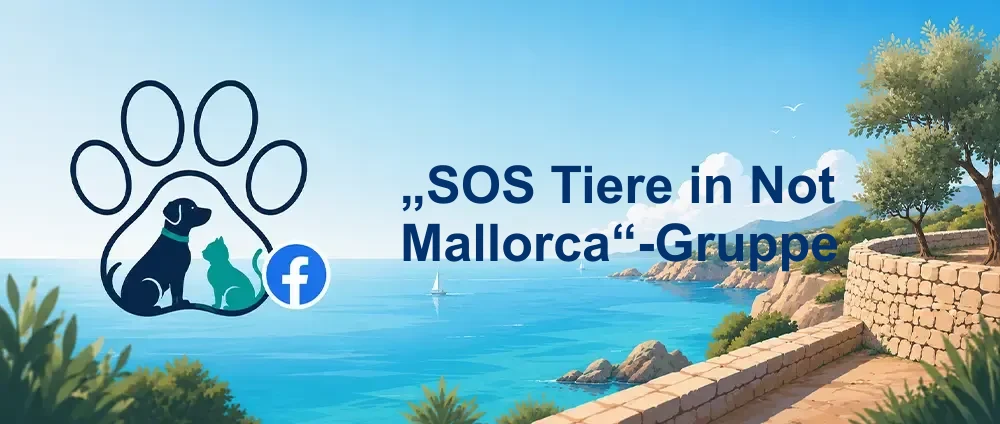 Coverbild der Facebook-Gruppe „„SOS Tiere in Not Mallorca“-Gruppe“ — Öffentliche Gruppe · 1.065 Mitglieder — Tierschutz auf Mallorca für Hunde, Katzen und andere Tiere in Not.