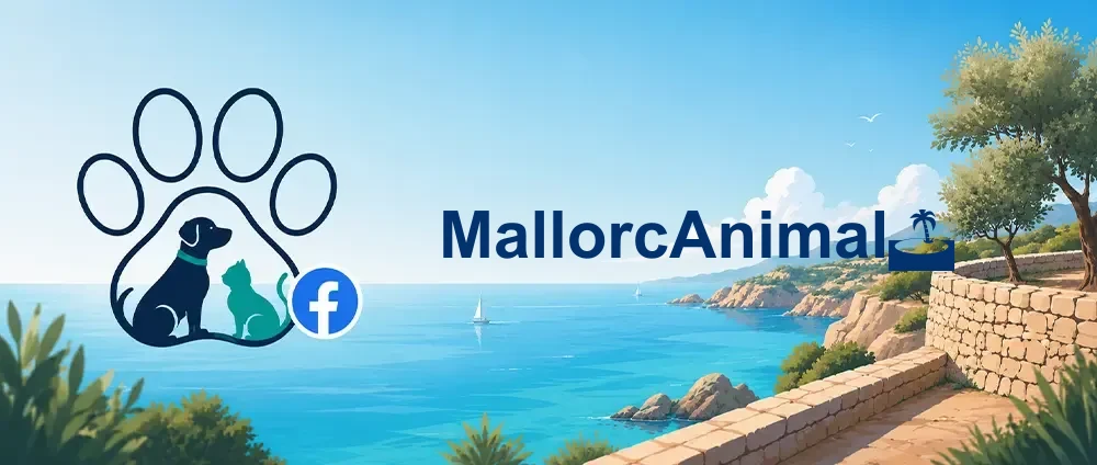 Coverbild der Facebook-Gruppe „MallorcAnimal🏝“ — Öffentliche Gruppe · 19.568 Mitglieder — Große spanischsprachige Tierschutz-Gruppe für alle Tiere auf Mallorca.