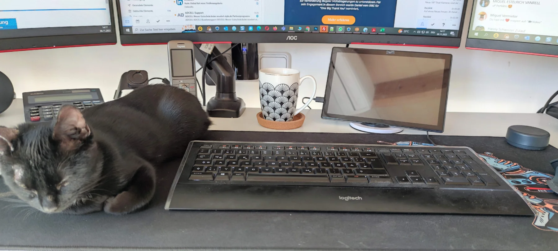 Entspannter Büro-Kater