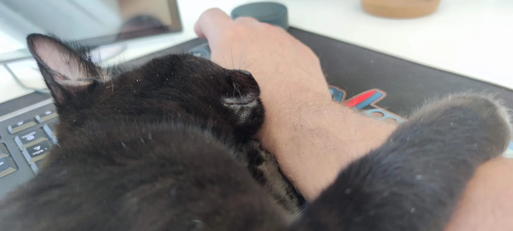 Entspannte Kuschelzeit mit Sammy